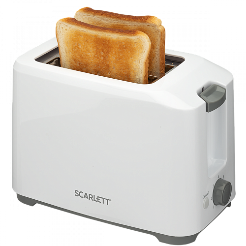                                                                   Scarlett SC-TM11019
