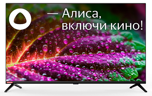                                                                   Starwind SW-LED40SG300 Smart Яндекс