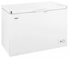 Морозильный ларь RENOVA FC-385C