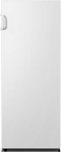                                                                   HISENSE FV245N4AW1