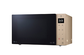 LG MW25R35GISH