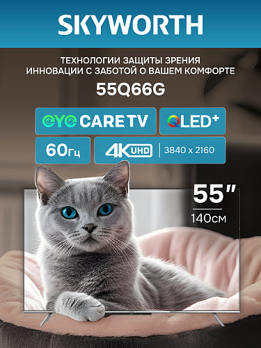                                                                   SKYWORTH 55Q66G